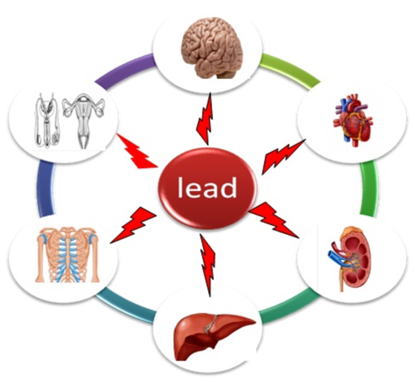 lead-and-its-health-effects